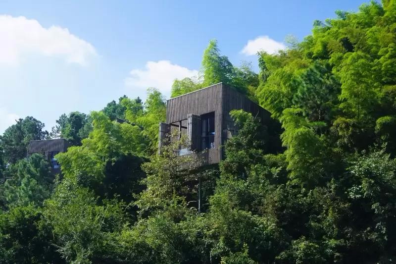 美岕山野独栋树屋