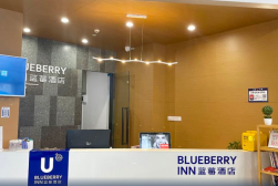 深圳南山蓝莓酒店-巨幕影音房