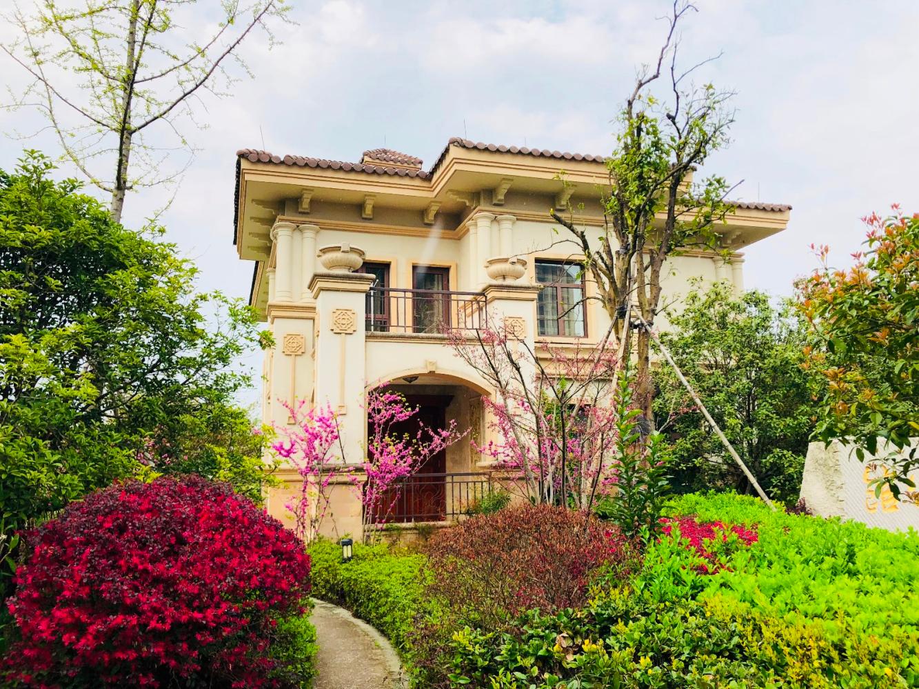 温江最便宜的别墅图片